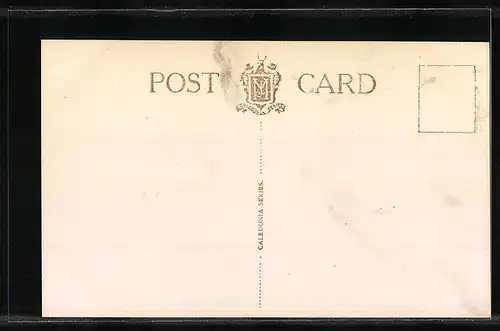 AK Salondampfer RMS Columba eine Steinküste passierend