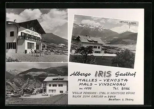 AK Mals /Vinschgau, Gasthof Iris mit Ortler