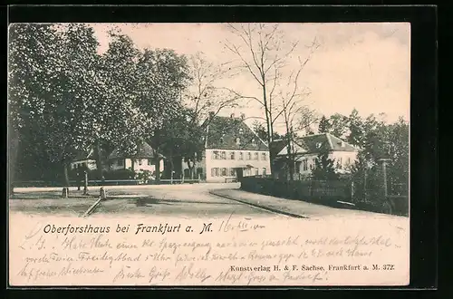 AK Frankfurt a. M., Blick durch die Strasse auf Wohnhäuser