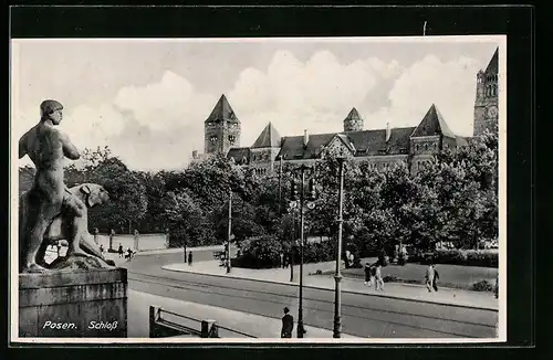 AK Posen, Blick über die Strasse auf das Schloss