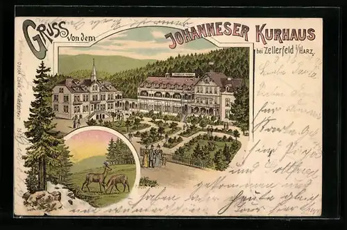 Lithographie Zellerfeld /Harz, Johanneser Kurhaus aus der Vogelschau