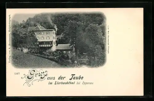 AK Lierbachthal, Gasthaus Taube