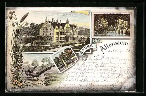 Lithographie Altenstein, Schloss, Altensteiner Höhle, Luther-Denkmal