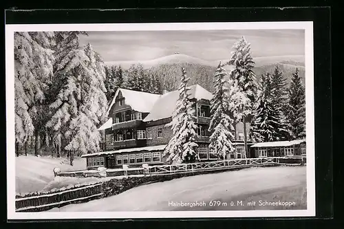 AK Seidorf, Heinbergshöh mit Schneekoppe im Schnee