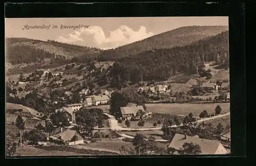 AK Agnetendorf /Riesengeb., Gesamtansicht