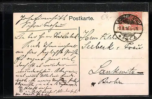 AK Schreiberhau /Riesengeb., Gesamtansicht mit Brückenberg