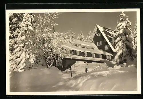 AK Feldberg, Hotel Nebelhof im Schnee