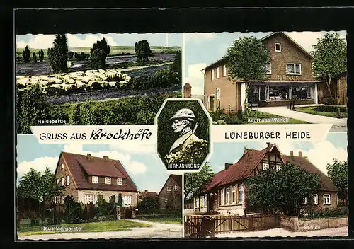 AK Brockhöfe /Lüneburger Heide, Kaufhaus Wenck, Haus Margarete, Heidepartie mit Schafherde