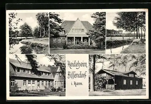 AK Bissendorf, Heideheim der Städt. Gewerbl. Berufsschulen Hannover, Holzhaus, Uferpartie mit Schaf