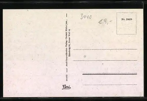 AK Soltau /Lüneburger Heide, Strassenpartie mit Geschäft