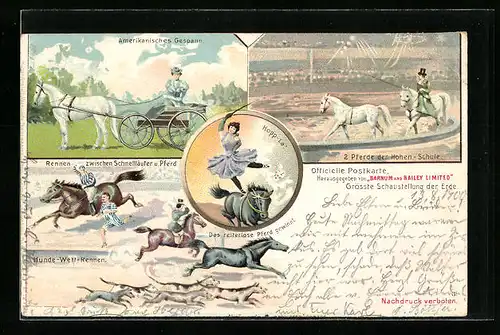 Lithographie Zirkus, Amerikanisches Gespann, Hunde-Wettrennen