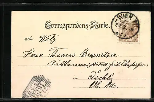 Lithographie Wien, Strassenpartie mit Blick auf das Parlament