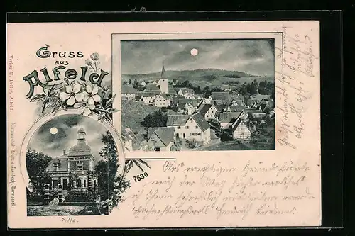 AK Alfeld, Villa im Mondschein, Totalansicht