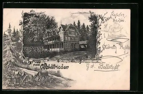 AK Mühlhausen /Thüringen, Gasthof Waldfrieden mit Bäumen