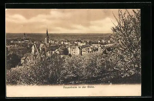 AK Neuenheim, Teilansicht mit Kirche in der Blüte