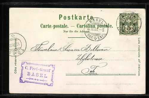 Lithographie Basel, Rathaus, St. Jakobsdenkmal, Panorama