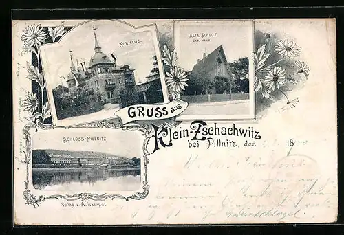 AK Klein-Zschachwitz b. Pillnitz, Kurhaus, Alte Schule, Schloss-Pillnitz