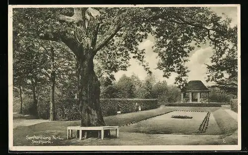 AK Senftenberg N.-L., Blick durch den Stadtpark