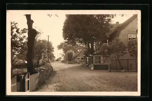 AK Hohwacht-Lütjenburgerstrand, Blick durch die Dorfstrasse auf Wohnhäuser