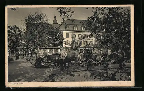 AK Karthaus bei Trier, Haushaltspensionat St. Bruno, Gartenpartie