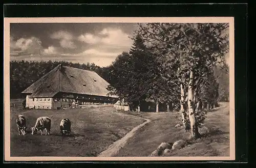 AK Schönwald, Gasthaus zur Martinskapelle