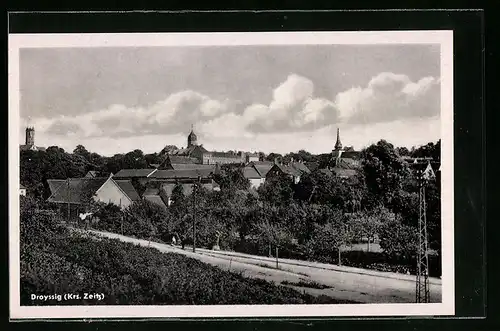 AK Droyssig /Krs. Zeitz, Teilansicht der Ortschaft