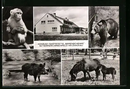 AK Hirschfeld, Konsum-Gaststätte Bärenschenke im Tierpark