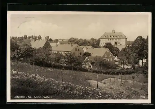 AK Langenau /Sa., Teilansicht von Wiesen aus