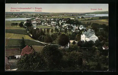AK Grosshartmannsdorf i. Ezgeb., Neuer Teich, Freiwald, Grosser Teich