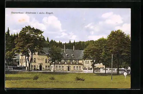 AK Breitenbrunn i. Sa., Hotel Täumerhaus-Erlabrunn