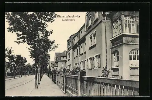 AK Dresden-Kleinzschachwitz, Albertstrasse mit Strassenbäumen