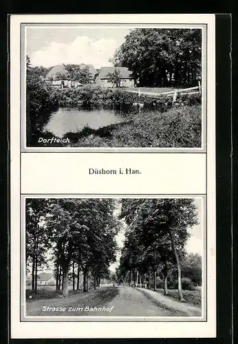 AK Düshorn i. Han., Dorfteich, Strasse zum Bahnhof