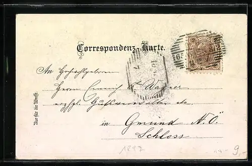 Lithographie Wien, Graben, Stefanskirche