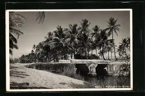 AK Bahia, Paisagem da Coata