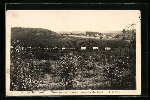 AK Sao Paulo, Vista parcial d`uma Fazenda de Café