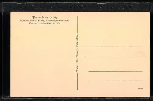 AK Bockswiese-Oberharz, Pensionshaus Störig