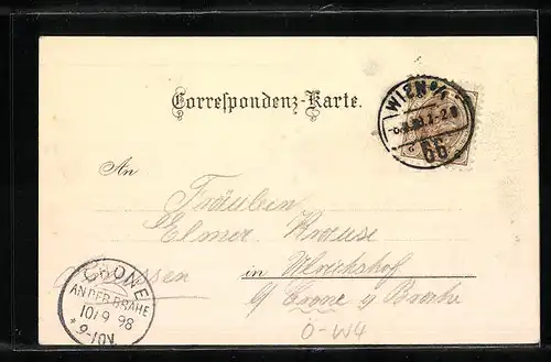 Lithographie Wien, Blick zur Karlskirche