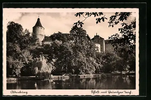 AK Altenburg, Blick auf das Schloss