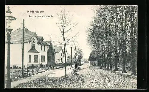 AK Hadersleben, Strassenpartie in der Aastrupper Chaussee