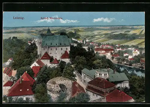 AK Leisnig, Schloss Mildenstein aus der Vogelschau