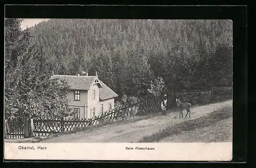 AK Okertal /Harz, beim Försterhaus