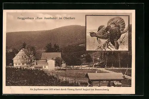 AK Hahnenklee /Oberharz, Berggasthaus zum Auerhahn