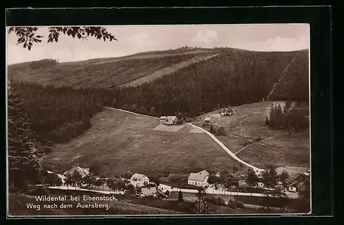 AK Wildental bei Eibenstock, Weg nach dem Auersberg