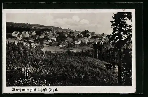 AK Oberpfannenstiel i. Erzgeb., Blick auf den Ort