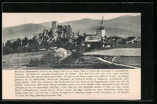 AK Regen /Bayer. Wald, Ruine Weissenstein