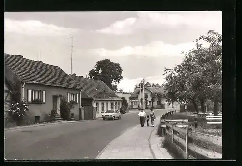 AK Zechlinerhütte /Kr. Neuruppin, Blick über die Strasse auf Wohnhäuser