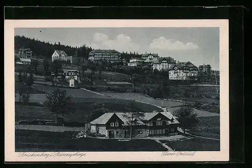 AK Brückenberg i. Riesengeb., Oberer Ortsteil, Teilansicht