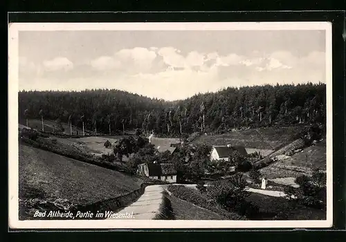 AK Bad Altheide, Partie im Wiesental