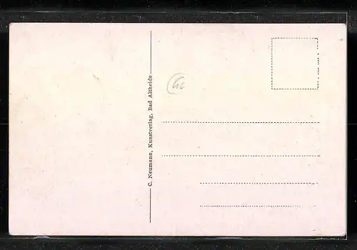 AK Bad Altheide, Partie im Wiesental