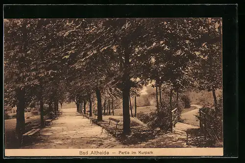 AK Bad Altheide, Partie im Kurpark